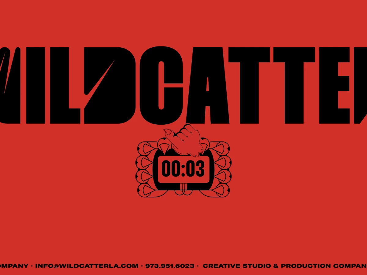 Wildcatter Website Design