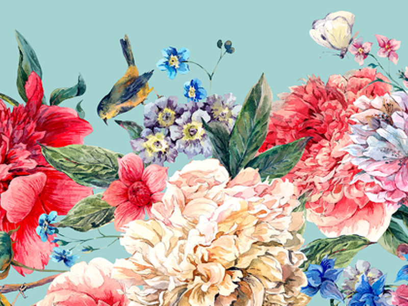 Taji Maji Colorful Website Design