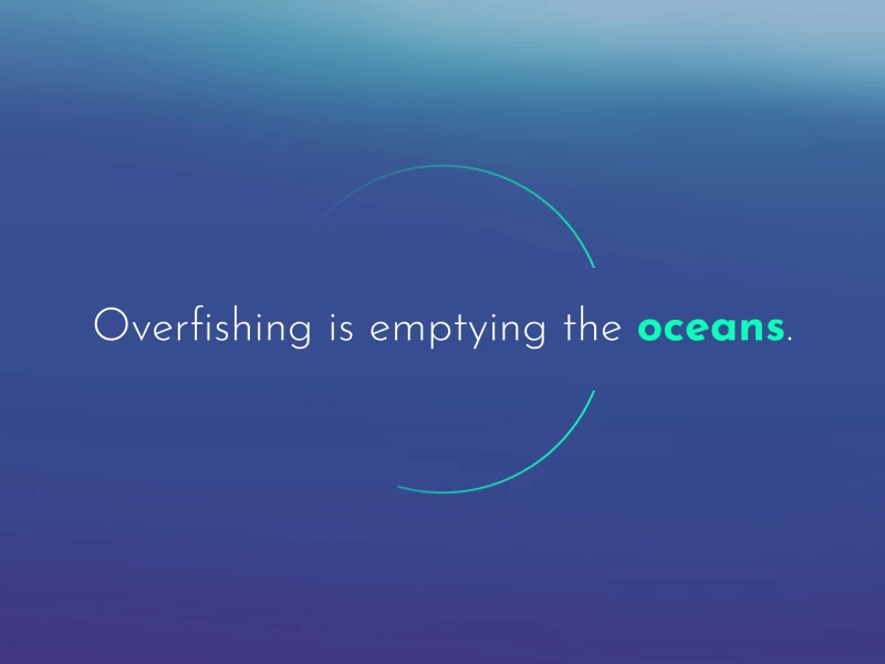 Oceana's Stop Overfishing Gradient Website Design
