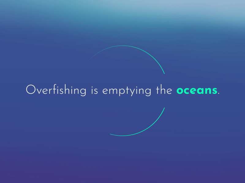 Oceana's Stop Overfishing Best Website Design