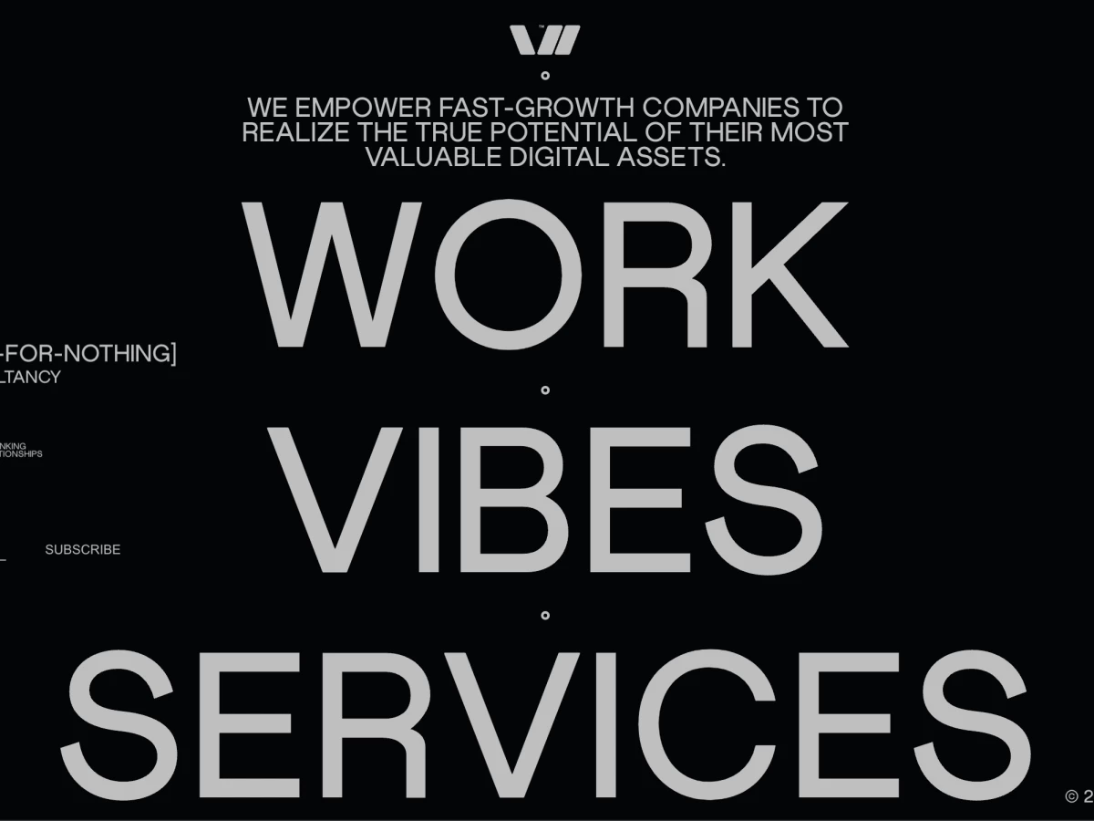 Wanted For Nothing Website Design