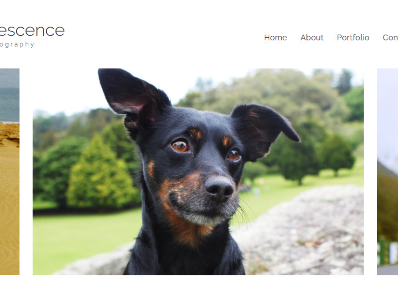 Frondescence Photography Web Design