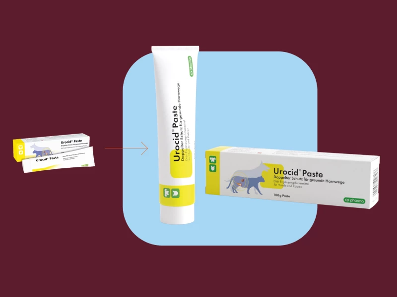 CP Pharma Packaging Design