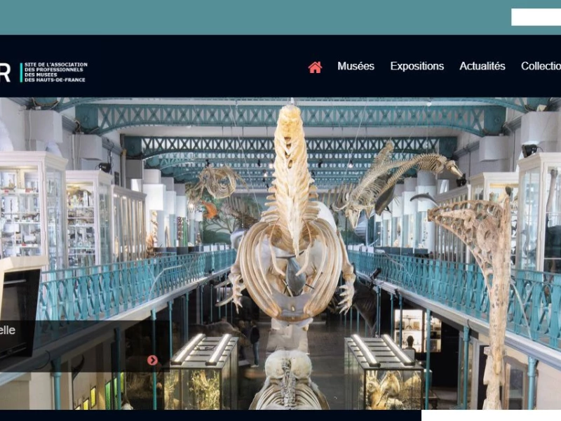 Musenor Web Design