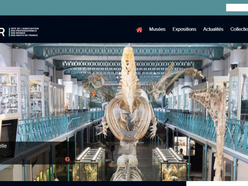 Musenor Web Design