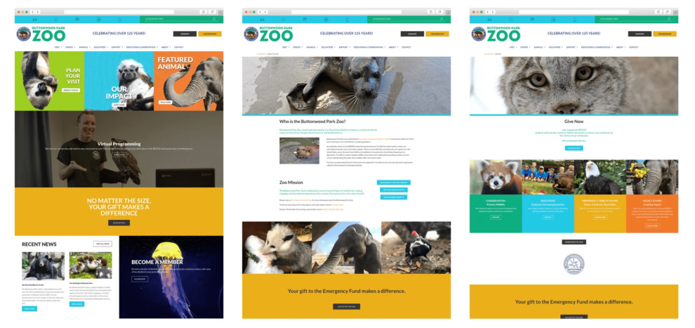 Buttonwood Park Zoo Web Design