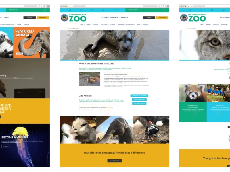 Buttonwood Park Zoo Web Design