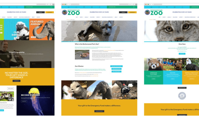 Buttonwood Park Zoo Web Design