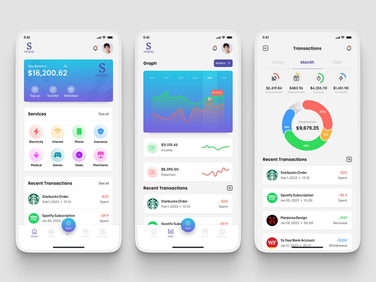 Snapay App Design