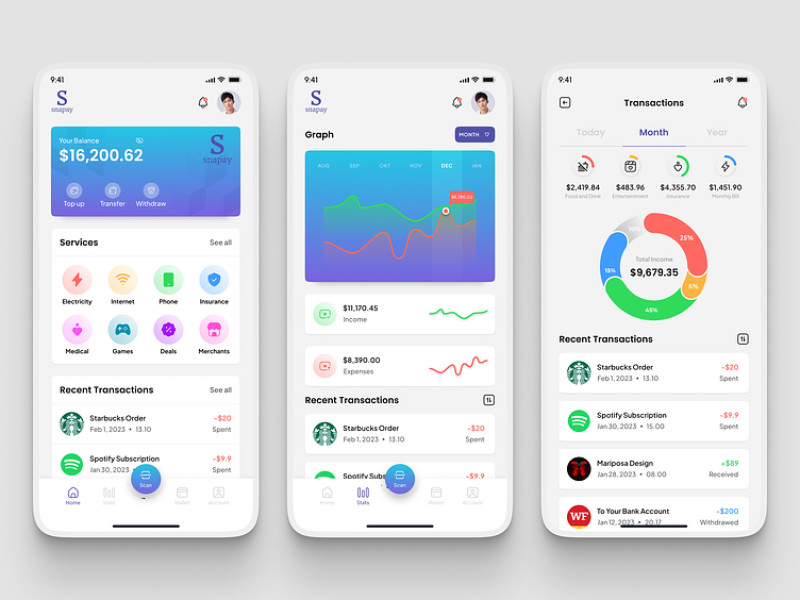 Snapay App Design