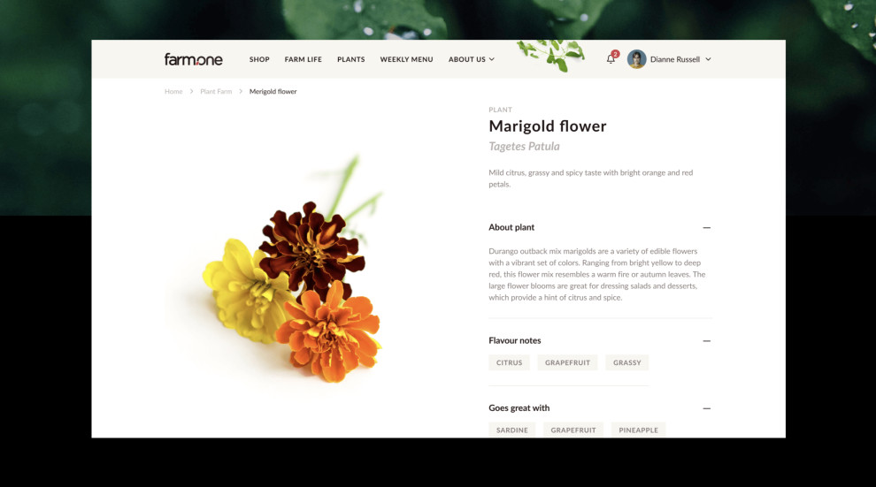 Farm.One App Design Streamlined Text and Imagery