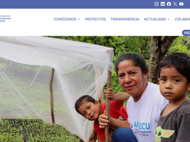 Fundación Promoción Social Website Design