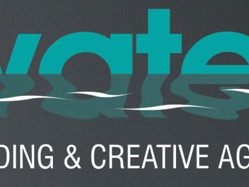 Walter Creative Studio Pvt. Ltd. Logo Design Analysis