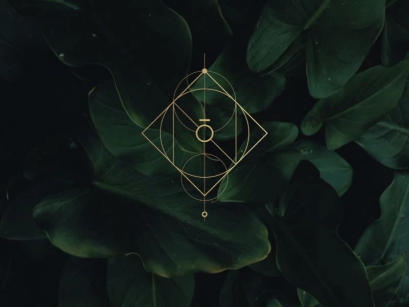 Nova Yoga Logo Design