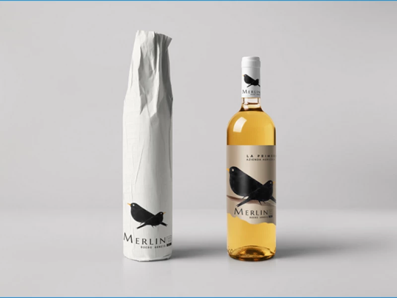 Merlin Packaging Design