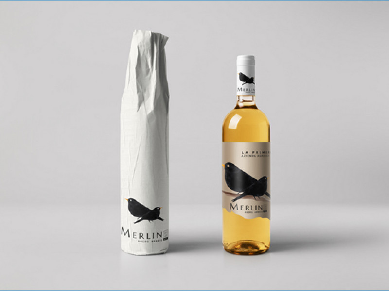 Merlin Packaging Design