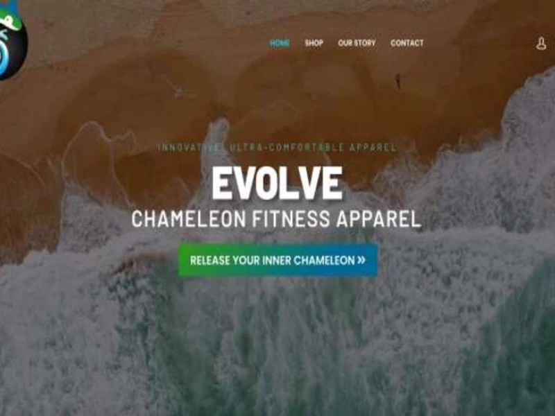 Chameleon Fitness Apparel Web Design