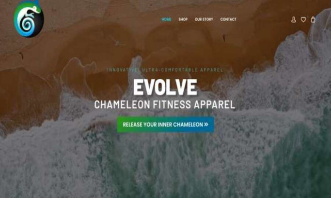 Chameleon Fitness Apparel Web Design