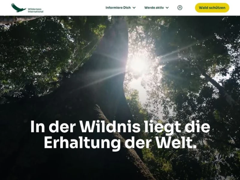 WILDERNESS INTERNATIONAL Web Design