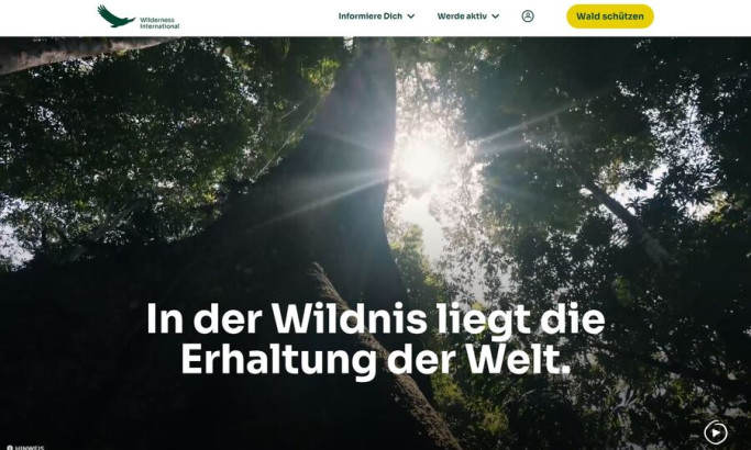 WILDERNESS INTERNATIONAL Web Design