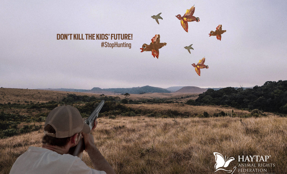 Haytup Stop Hunting Campaign Print Design