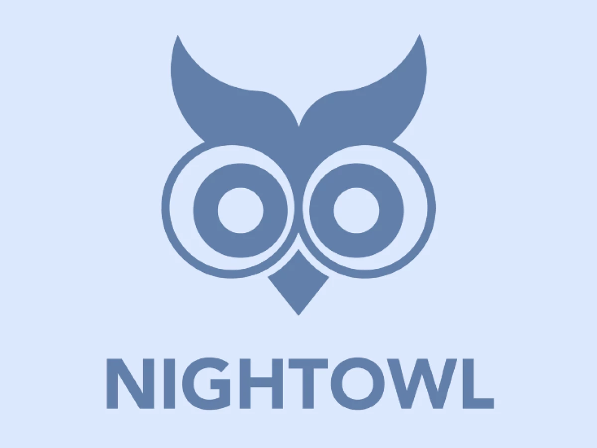 NightOwl Logo Design