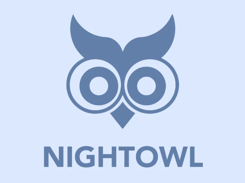 NightOwl Logo Design