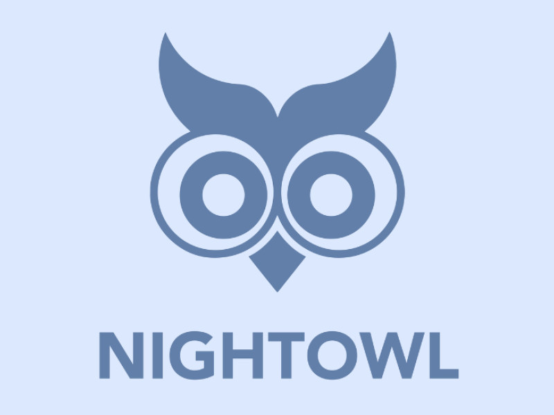 NightOwl Logo Design