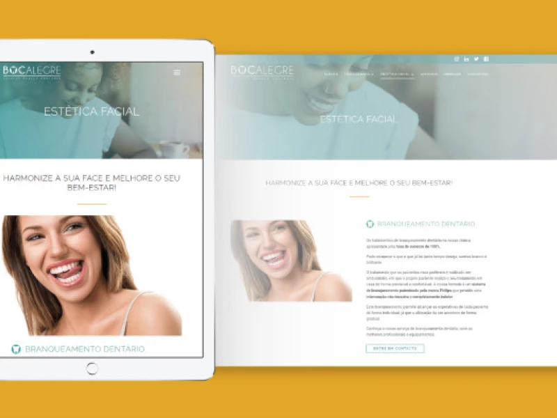 Boca Alegre Website Design