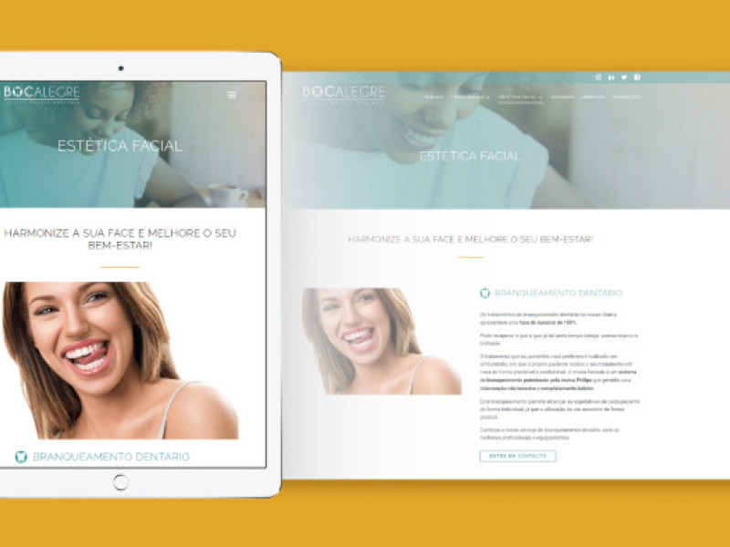Boca Alegre Website Design