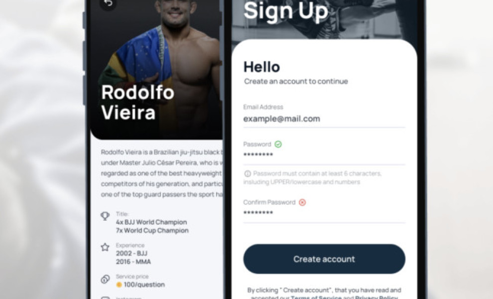 BJJ-HI App Design