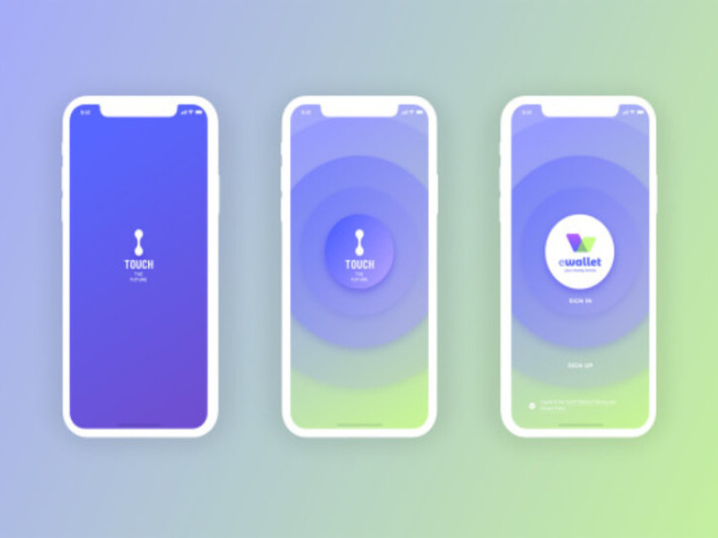 Touch Wallet App Design Analysis