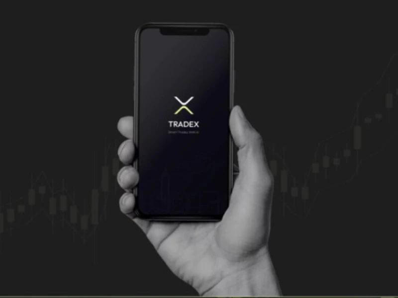 AI Stock Trading App Design Analysis