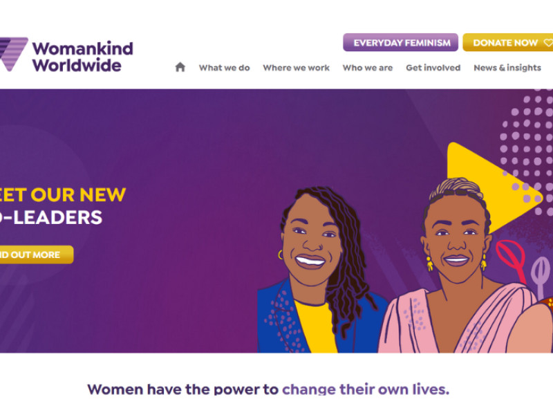 Womankind Worldwide Web Design