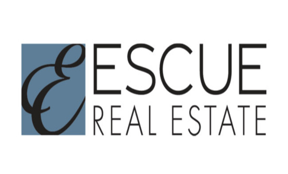 ESCUE REAL ESTATE Logo Design Analysis