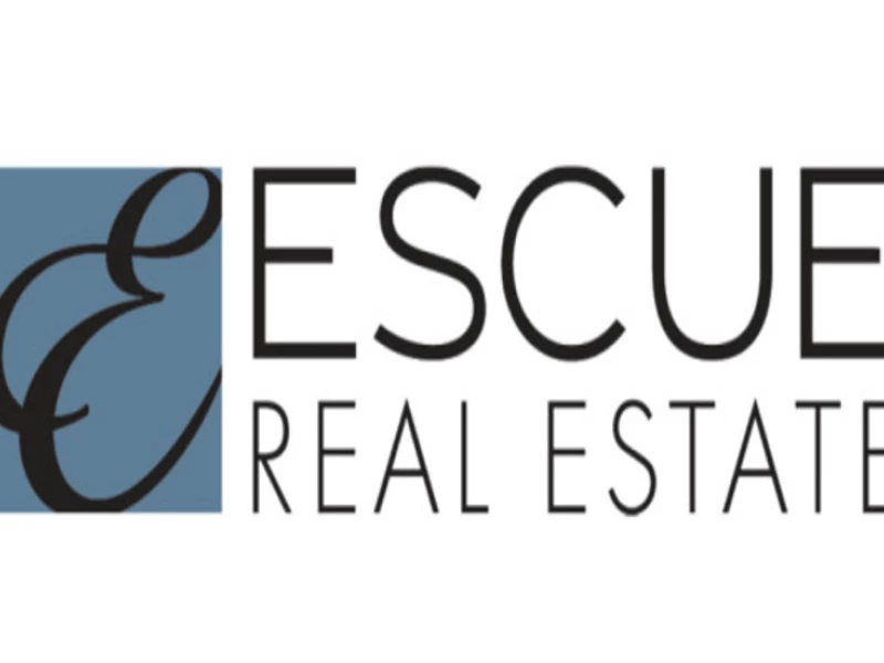 ESCUE REAL ESTATE Logo Design Analysis