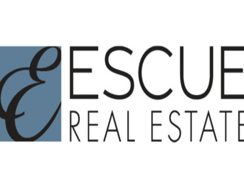 ESCUE REAL ESTATE Logo Design Analysis