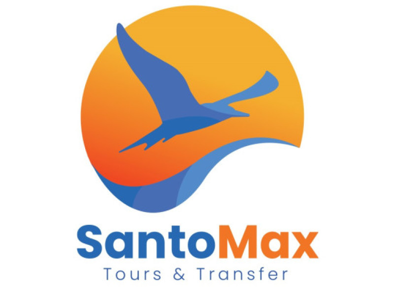 SantoMax Logo Design Analysis