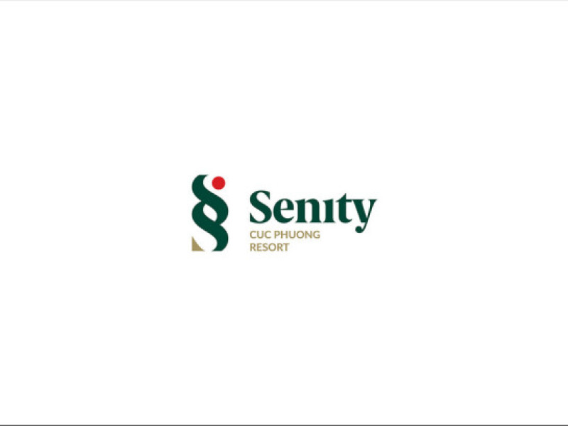 Senity Logo Design Analysis