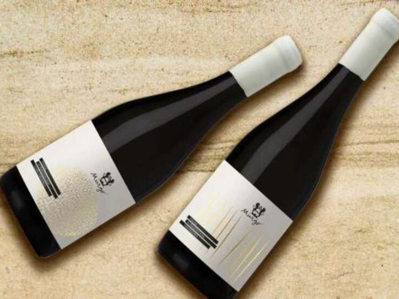 MURGO Packaging Design Analysis