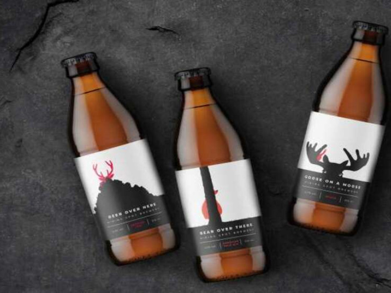 Hiding Spot Brewery Packaging Design Analysis