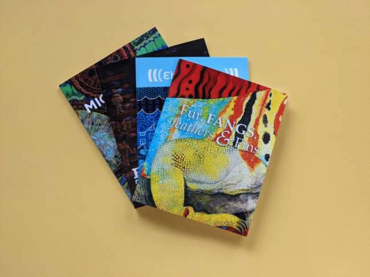 Studio Art Quilt Associates Catalog Print Design Analysis