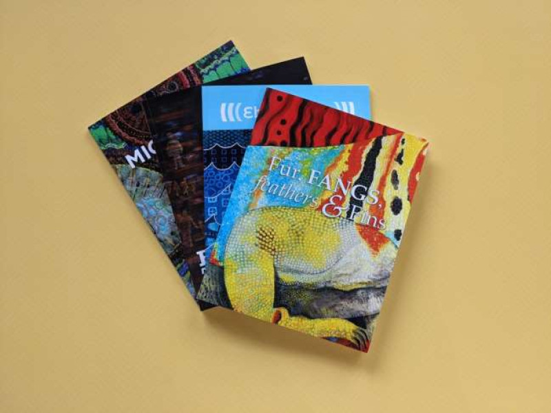 Studio Art Quilt Associates Catalog Print Design Analysis