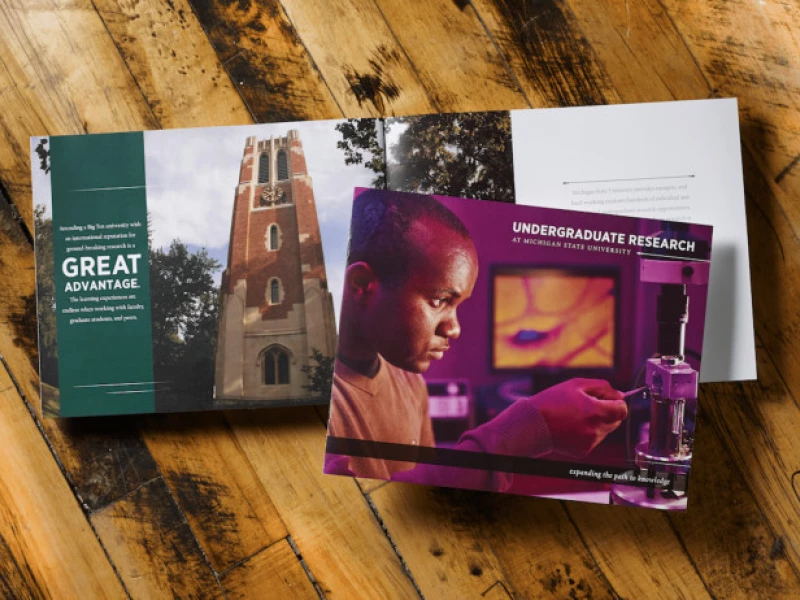 MSU Office of Undergraduate Education Print Design Analysis