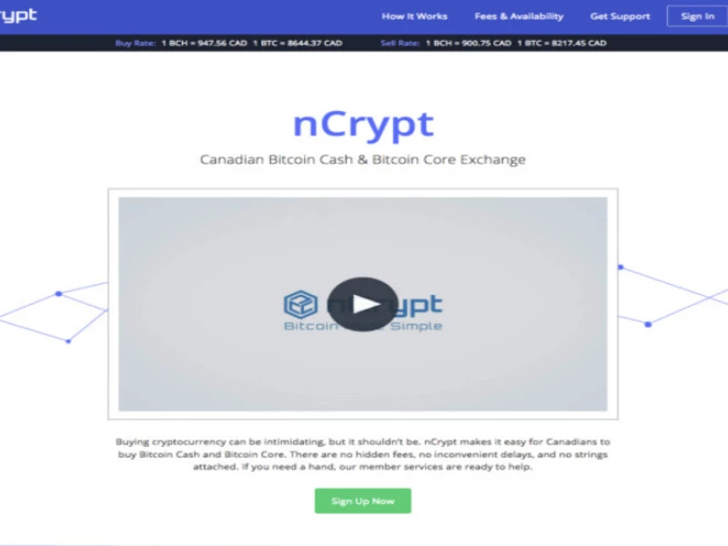 NCrypt Web Design Analysis