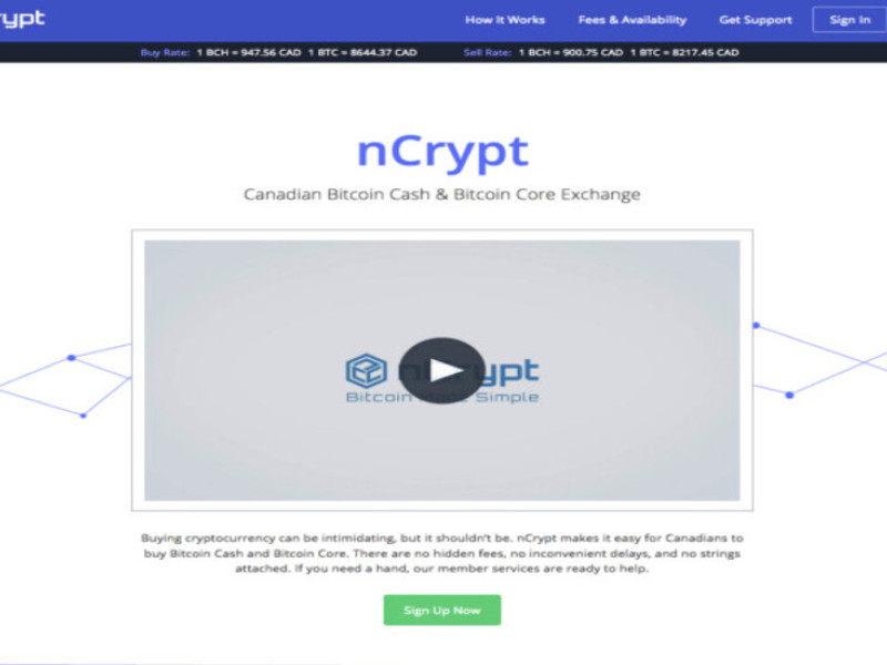 NCrypt Web Design Analysis