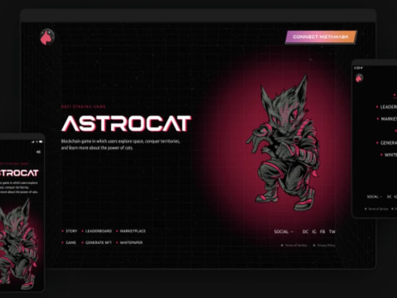 Astrocat Web Design Analysis