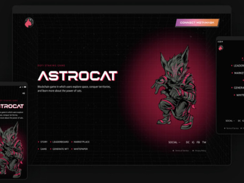 Astrocat Web Design Analysis