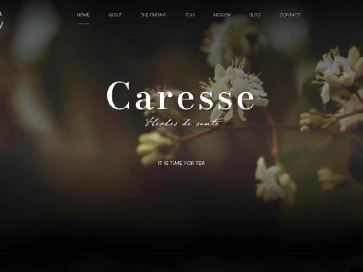 Caresse World Website Design
