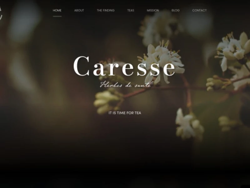 Caresse World Website Design